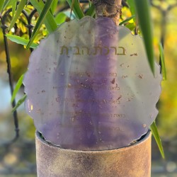 BIRKAT HABAYIT - LILAS